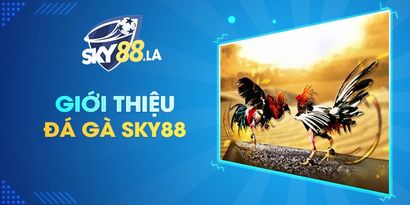 Giới thiệu về Đá Gà SKY88