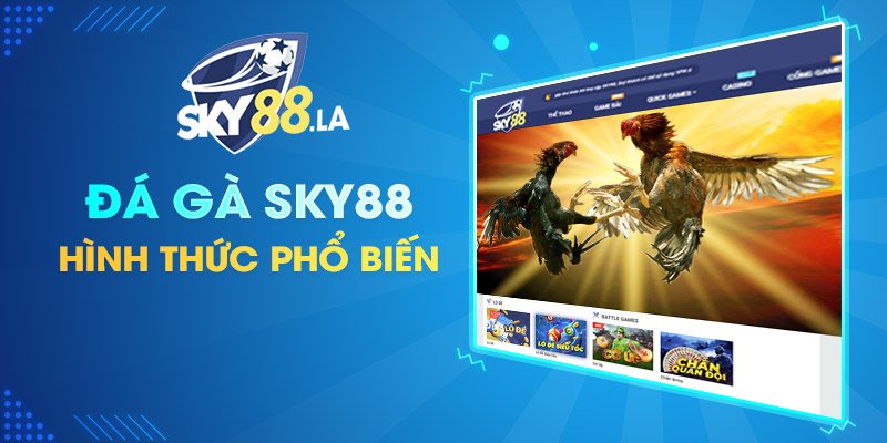 Hình thức Đá Gà SKY88
