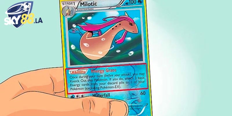 Để hiểu về cách chơi bài Pokemon thì bạn phải nắm được thông tin tổng quan trước