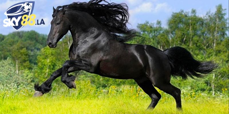 Mơ thấy ngựa đánh số gì chuẩn nhất